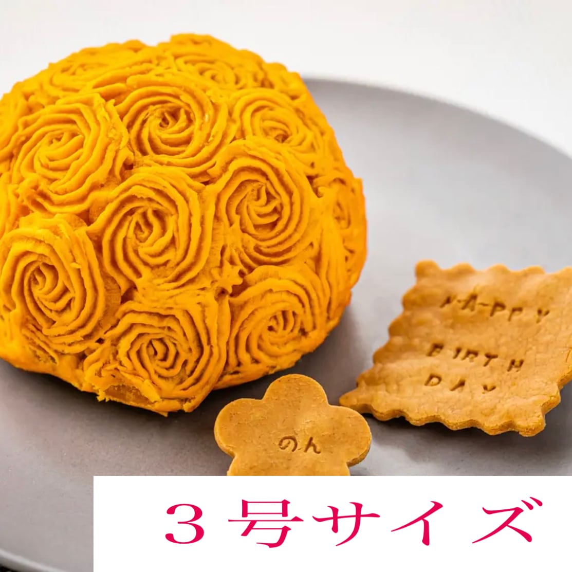 3号サイズお魚と野菜のケーキ 犬猫対応